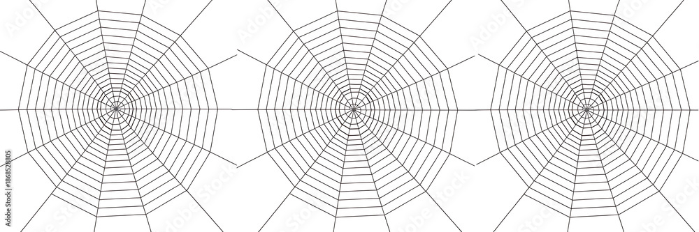 Obraz premium spider web on black background