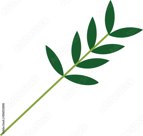 Ripe Olive Branch With Leaves Transparent Background