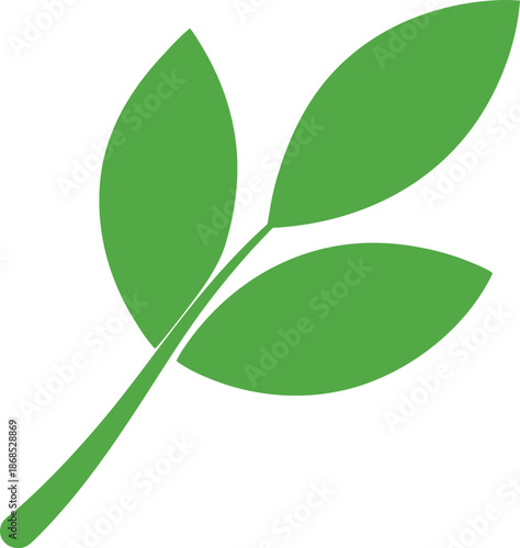 Ripe Olive Leaf Green Transparent Background