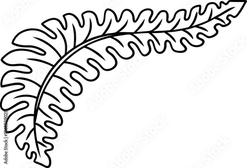 Curved fern leaf outline with wavy edges and visible vein structure detail