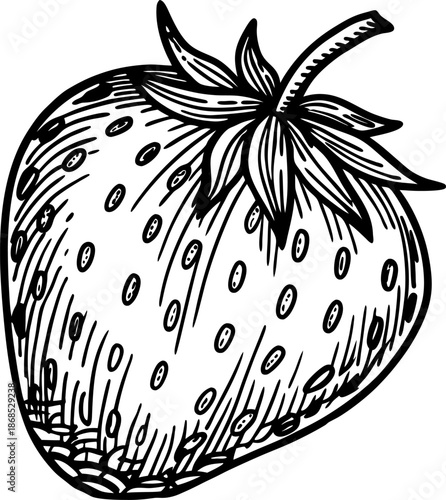 Detailed black and white hand drawn strawberry illustration with leaves and seeds
