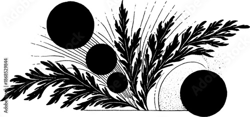 Abstract botanical design with spheres and fern leaves in black and white