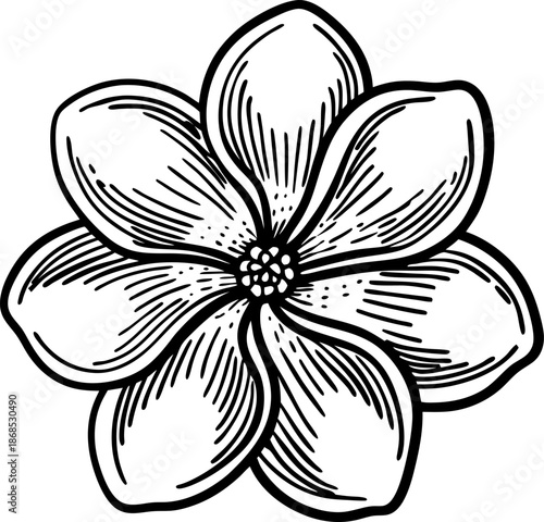 detailed hand drawn flower illustration with seven petals and central floral pattern