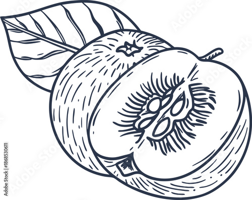 Detailed sketch of two apples with a leaf, one whole and one cut in half showing seeds and texture
