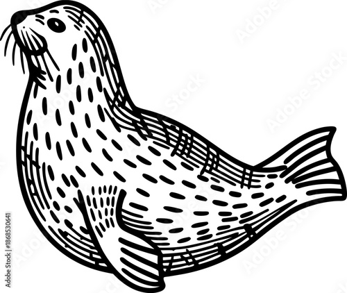 hand drawn sketch of a seal animal facing left with textured fur and flippers