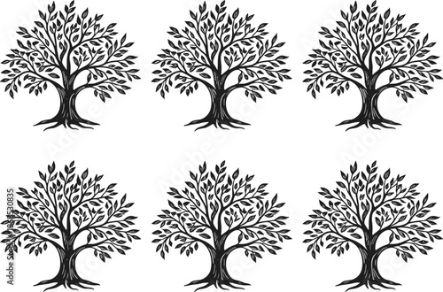 Sturdy Old Olive Tree With Wide Canopy Graphic Element For Nature Conservation And Agriculture Logo