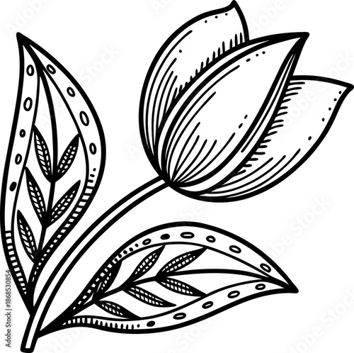 Decorative floral illustration with detailed leaves and bud in black and white line art