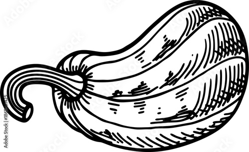 Stylized hand drawn illustration of a whole banana with detailed line art and texture