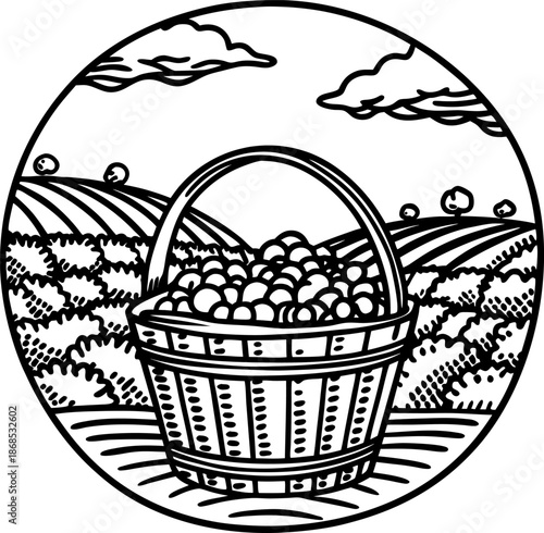 Basket of harvested apples in orchard with rolling hills under partly cloudy sky