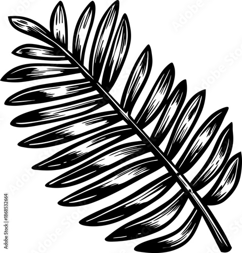 palm leaf illustration with detailed lines and vintage botanical