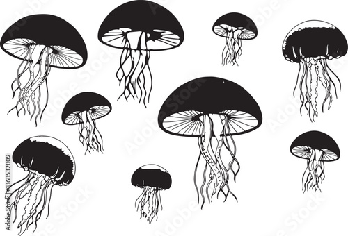 Collection of hand drawn mushrooms with detailed roots isolated