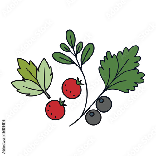 Fresh, vibrant berries mingle with fragrant herbs, creating a lively, natural mix full of color, aroma, and flavor—a perfect harmony of garden goodness.
