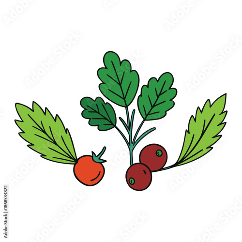 Fresh, vibrant berries mingle with fragrant herbs, creating a lively, natural mix full of color, aroma, and flavor—a perfect harmony of garden goodness.
