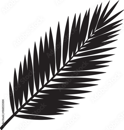 Silhouette of a fern leaf