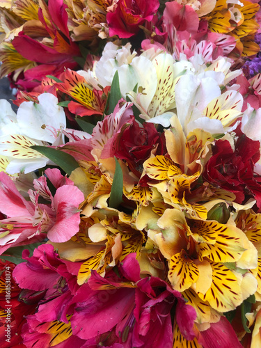 Detalle de flores de alstroemeria o lirio de los incas