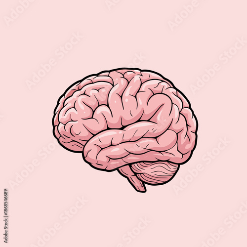 Detailed illustration of a human brain on a soft pink background