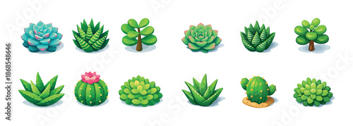 Colorful cartoon succulents and cacti collection on white background