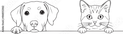 Cute puppy and curious kitten peeking over a line, adorable animal friends illustration