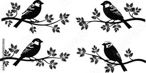 Bird silhouette collection perched on leafy branches, elegant sparrow songbird monochrome vector illustration set for nature design, logo, tattoo, decorative graphics