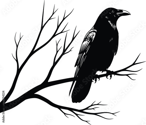 Black raven silhouette perched on bare tree branch, minimalist monochrome vector illustration for gothic nature wildlife logo tattoo design