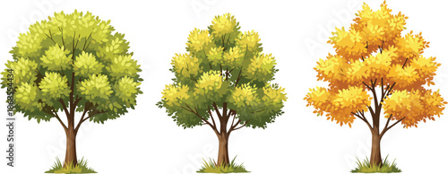 Colorful deciduous tree collection showing green and autumn foliage seasonal vector illustration for landscape design nature education branding projects