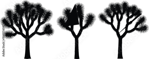 Joshua tree silhouette collection, iconic desert yucca plants monochrome vector illustration set for arid landscape design, western nature art, logo branding graphics