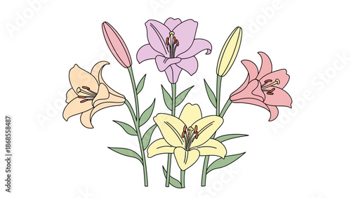 A beautiful illustration of a bouquet of colorful lilies in bloom, showcasing delicate petals and green stems against a white background, perfect for floral designs and celebrations