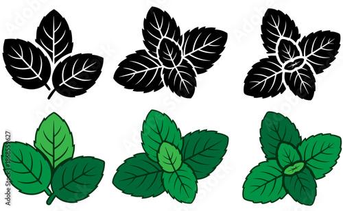 Seamless Green Spearmint Leaves Pattern Botanical Nature Vector Background Design