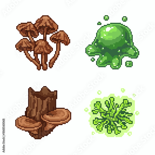 Fantasy fungi and slime illustrations for games
