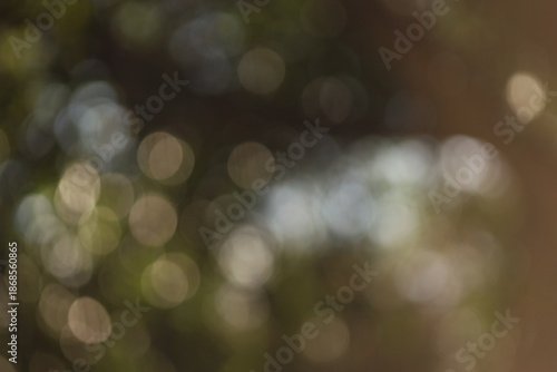 Fundo abstrato de tons verdes e dourados formado pela luz atravessando a floresta na Mata Atlântica.