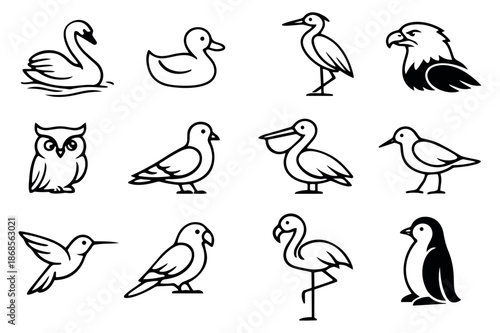 Hand drawn line art bird set featuring diverse avian species for nature and wildlife concepts