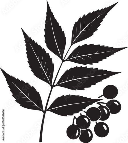 cherry branch with leaves and fruit