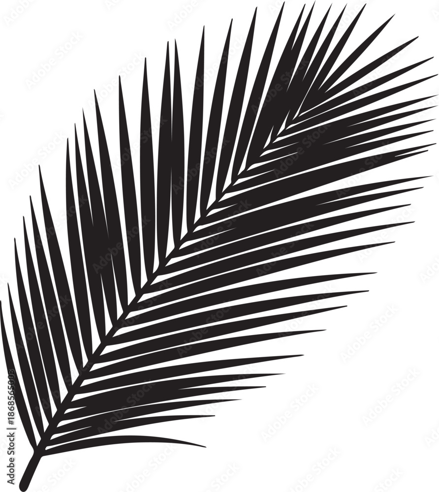 Obraz premium palm leaf silhouette