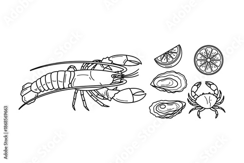 Seafood line art: lobster, crab, oysters with lemon slices