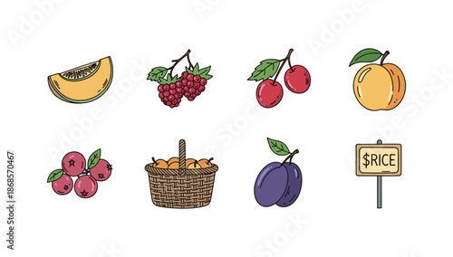 Hand drawn fruit collection with basket and price sign
