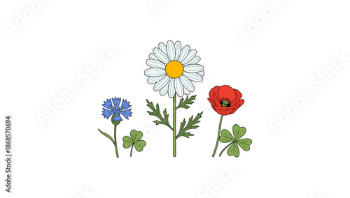 Colorful wildflowers with clover: realistic daisy, cornflower, and poppy illustration