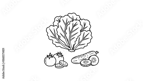 Black and white line art of fresh vegetables with lettuce, tomatoes, and cucumber