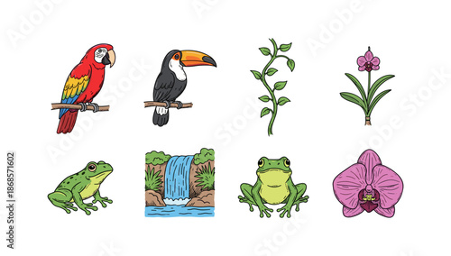 Tropical animals and plants collection: birds, frogs, and flowers