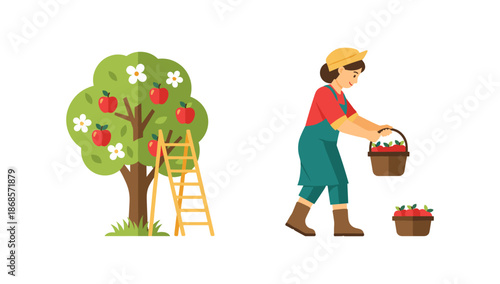 Flat style apple picking activity with ladder and harvesting woman