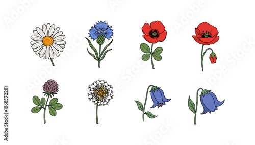 Colorful floral collection with eight blooming wildflowers on white background