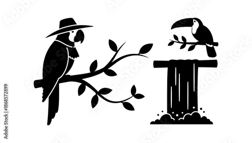 Silhouette of parrot and toucan on branch overlooking waterfall scene