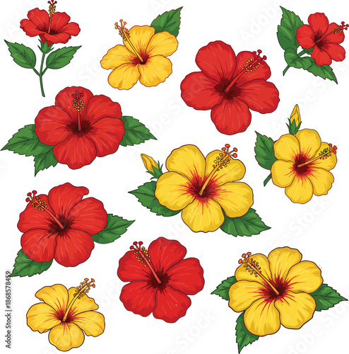 Vibrant collection of colorful hibiscus flowers and green leaves on white background