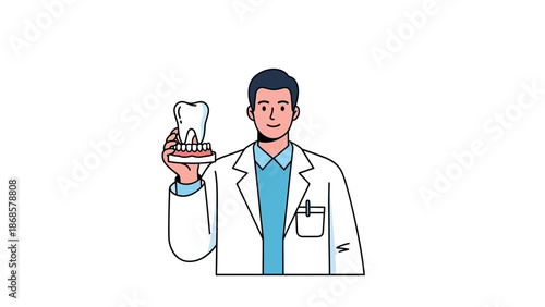 Professional dentist holding a dental model showcasing healthy teeth and gums
