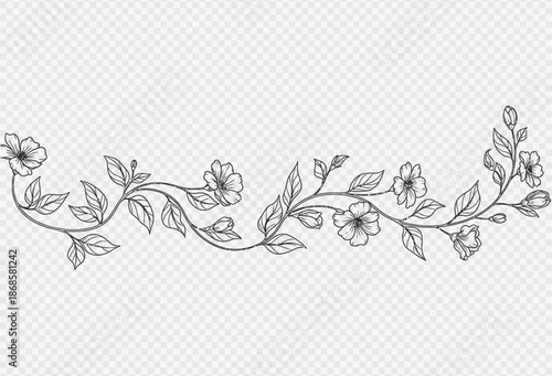 Beautiful floral vine illustration with leaves and flowers on transparent background