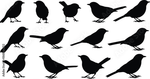 Black bird silhouettes set isolated on white background, various garden birds vector illustration, sparrow and robin shapes, nature wildlife icons for graphic design,