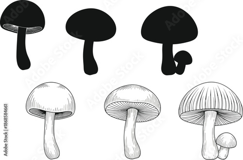 Hand drawn mushroom silhouette and line art set, botanical fungi illustration for nature design, forest foraging sketch, organic autumn garden elements