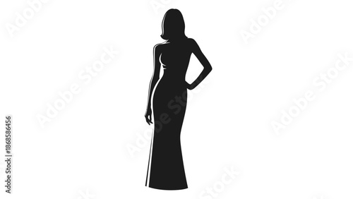 Elegant Silhouette of a Woman in a Long Dress.