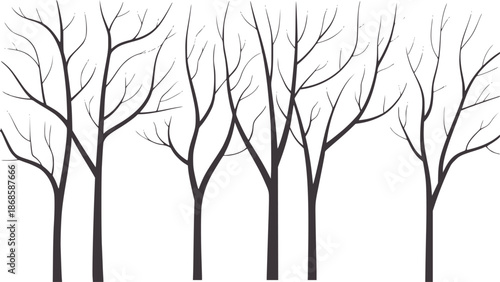 Dark gray bare tree branches against