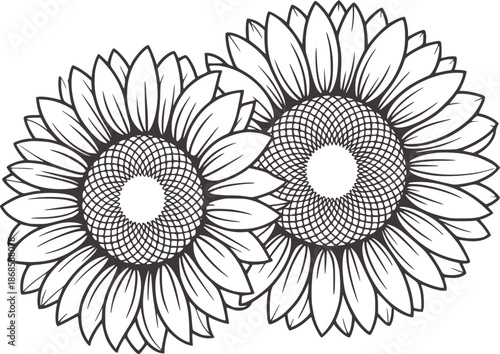Two overlapping stylized sunflowers with detailed centers and petals floral nature