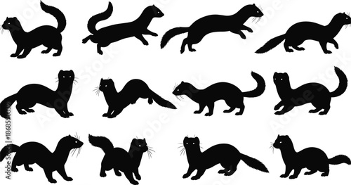 Collection of black silhouettes of weasels, ferrets, minks, and martens in various active poses and movements isolated on white background, vector illustration set.